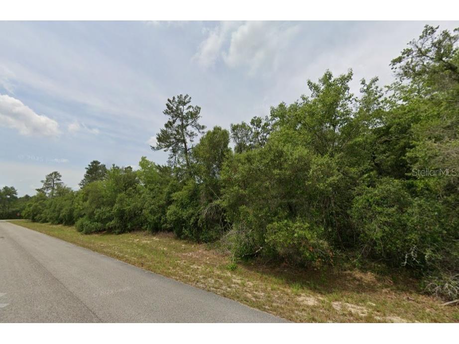 Lot 19 31st Court Ocala FL 34473 OM726420 image7