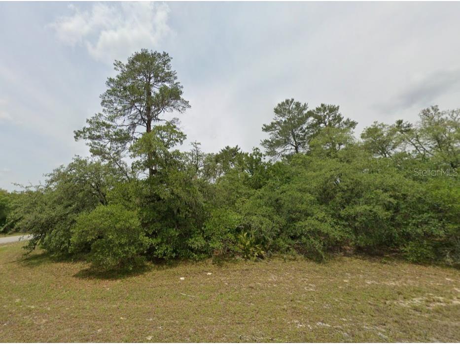 Lot 19 31st Court Ocala FL 34473 OM726420 image8