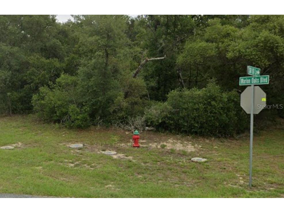 Lot 19 31st Court Ocala FL 34473 OM726420 image9