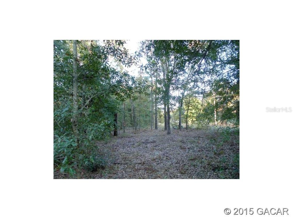 Lot 19 44 Street Keystone Heights FL 32656 GC359992 image1