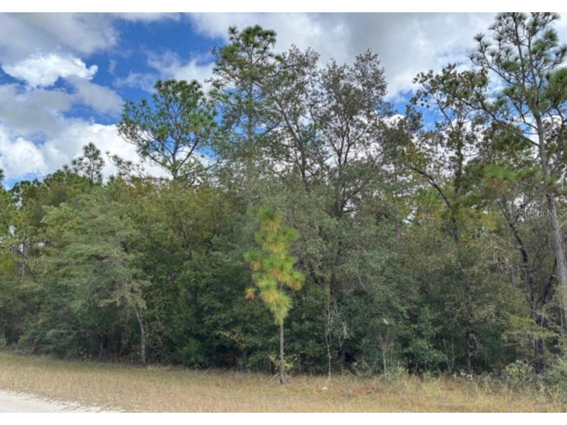 Lot 19 Canyon Swallow Road Weeki Wachee FL 34614 W7881618 image2