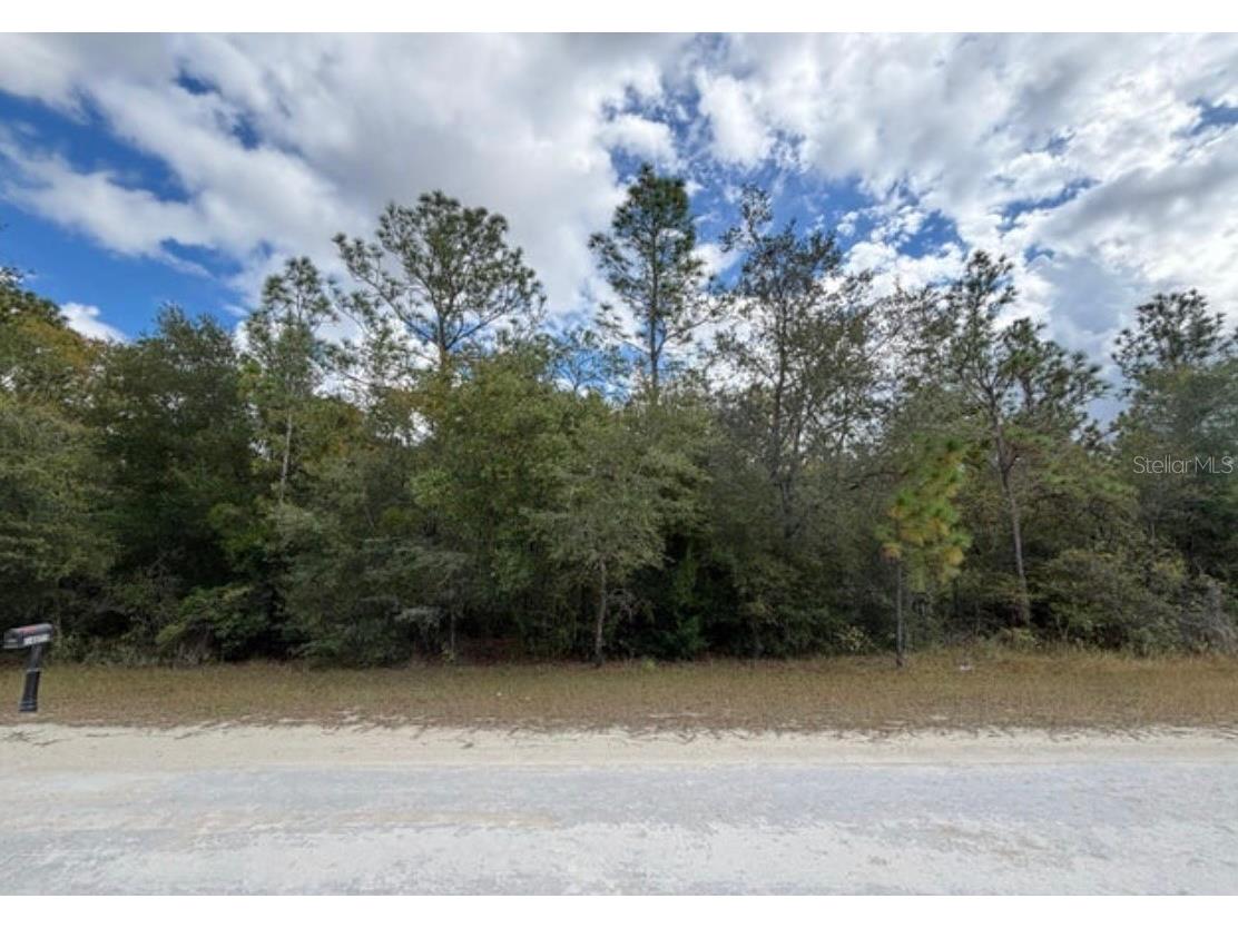 Lot 19 Canyon Swallow Road Weeki Wachee FL 34614 W7881618 image3