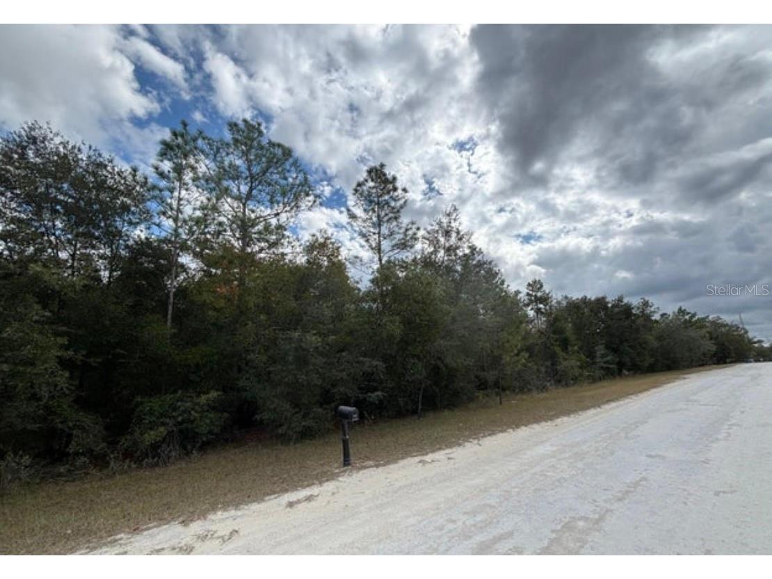 Lot 19 Canyon Swallow Road Weeki Wachee FL 34614 W7881618 image4