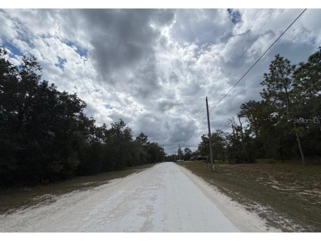 Lot 19 Canyon Swallow Road Weeki Wachee FL 34614 W7881618 image5