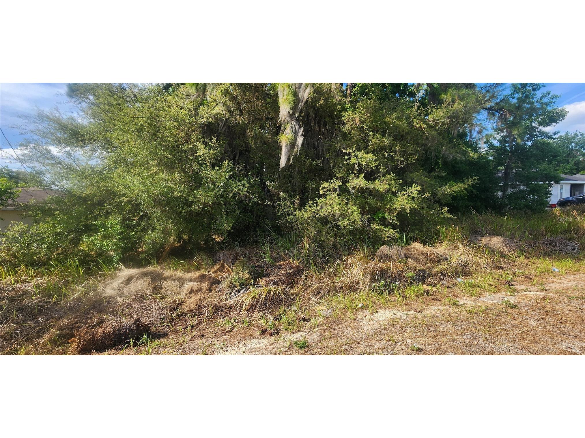 Lot 19 Dogwood Drive Loop Ocala FL 34472 OM722643 image8
