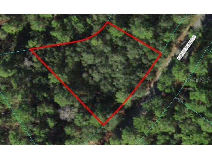 Lot 19 Fisher Run Terrace Ocklawaha FL 32179 OM621514 image1