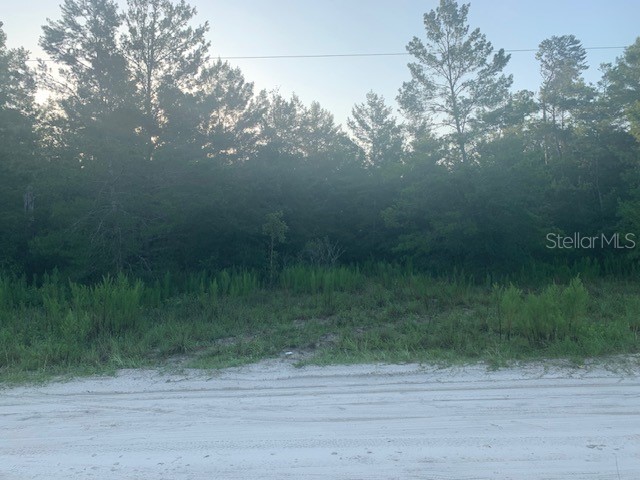 Lot 19 NE 139th Avenue Williston FL 32696 A4577385 image1