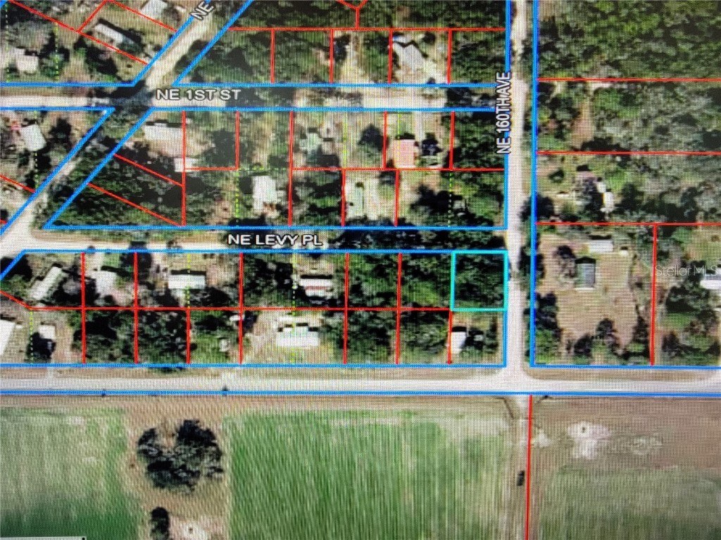 Lot 19 NE Levy Place Williston FL 32696 OM701448 image1