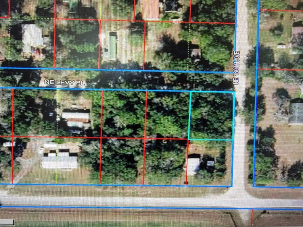 Lot 19 NE Levy Place Williston FL 32696 OM701448 image2