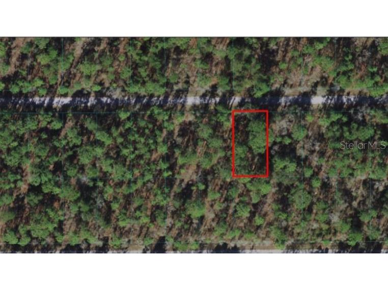 Lot 19 NW Summerfield Avenue Dunnellon FL 34432 OM635528 image1