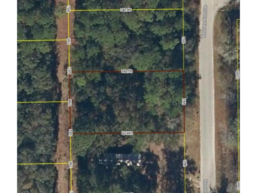 Lot 19 Reaves Avenue Interlachen FL 32148 OM687398 image1