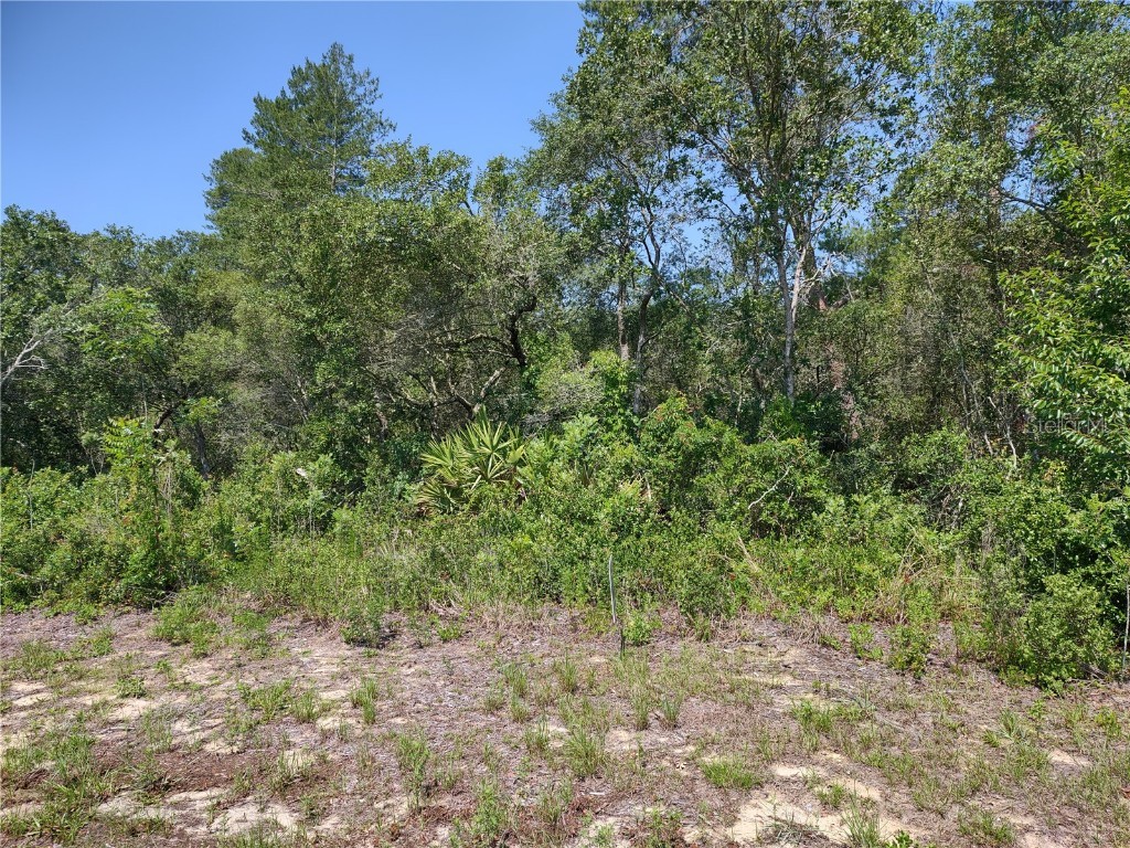 Lot 19 SW 18th Avenue Ocala FL 34473 OM659214 image1