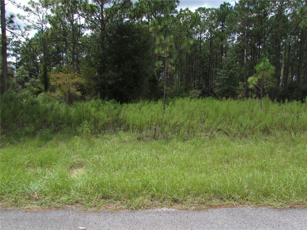 Lot 19 SW 207 Court Dunnellon FL 34431 OM685066 image1
