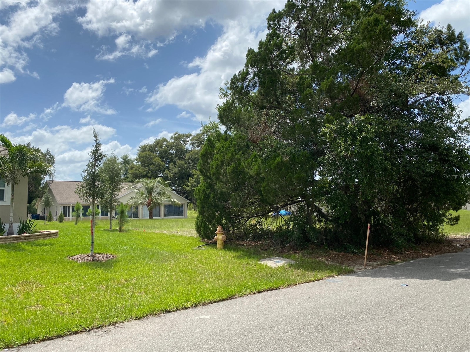 Lot 194 Chestnut Ridge Road Dade City FL 33523 W7885308 image3