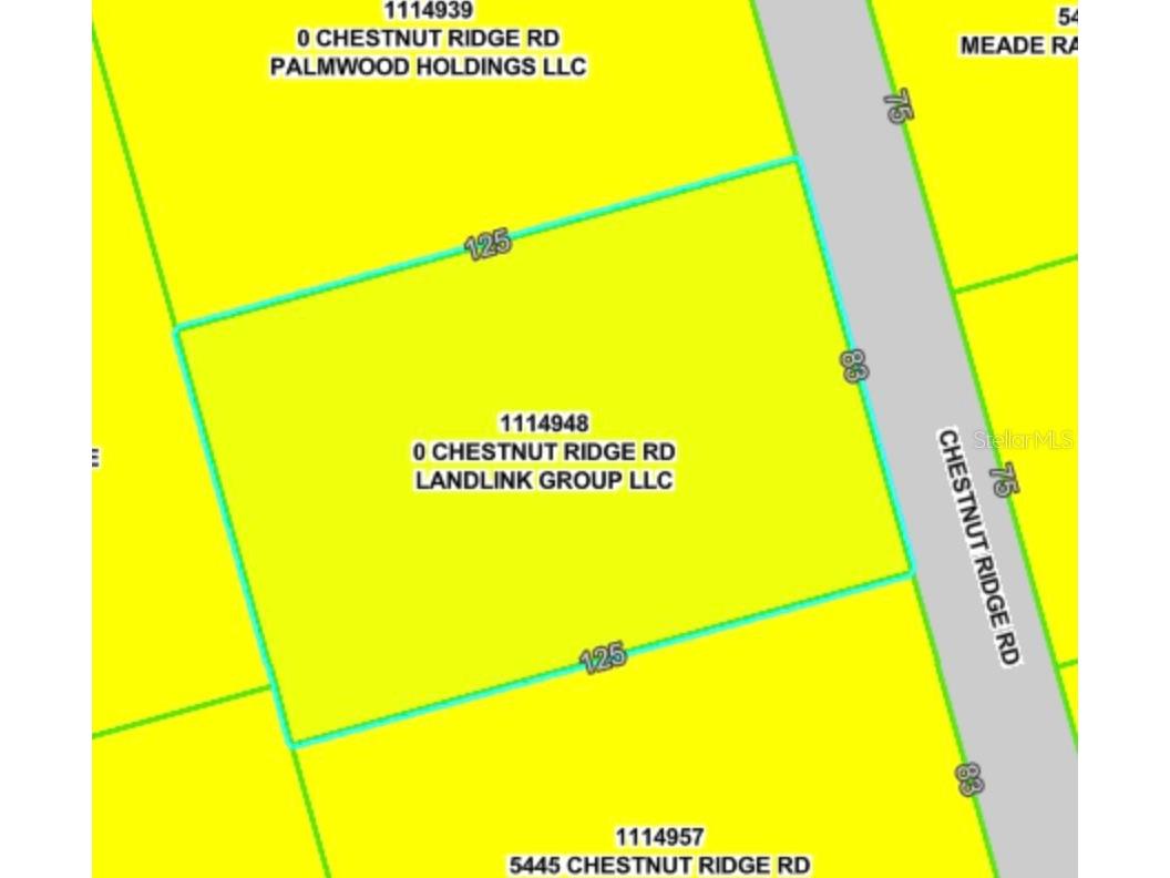 Lot 194 Chestnut Ridge Road Dade City FL 33523 W7885308 image6