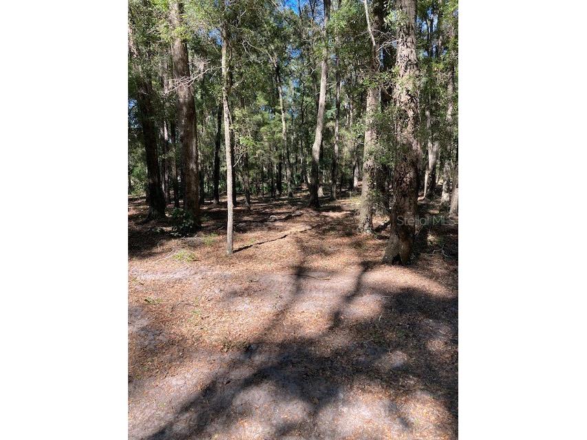 Lot 2 7011 SW 170th Street Archer FL 32618 GC524576 image10