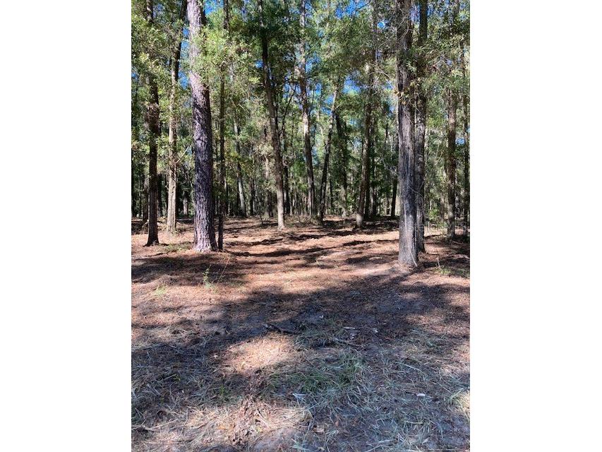 Lot 2 7011 SW 170th Street Archer FL 32618 GC524576 image11