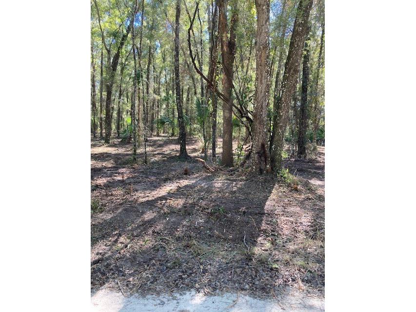 Lot 2 7011 SW 170th Street Archer FL 32618 GC524576 image6