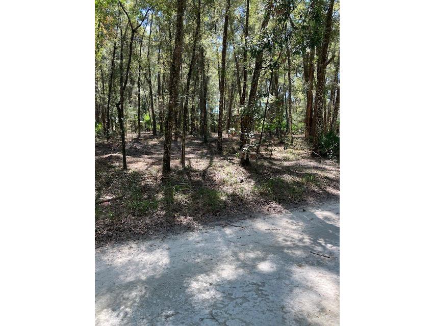 Lot 2 7011 SW 170th Street Archer FL 32618 GC524576 image7