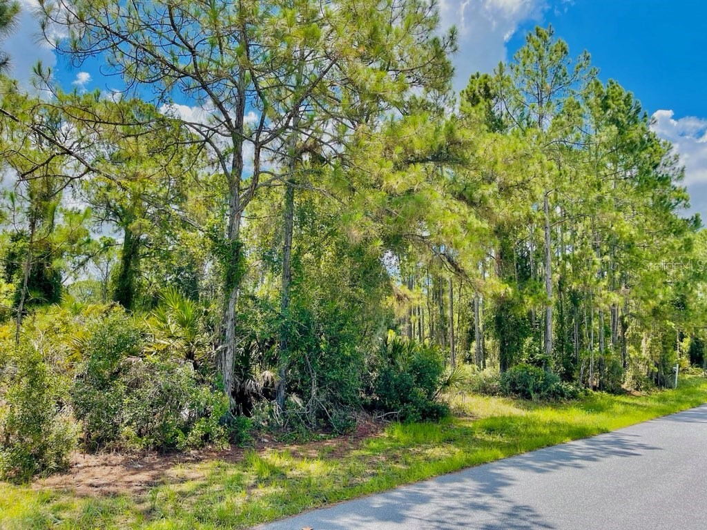 Lot 2 Alwood Street North Port FL 34291 A4603053 image8
