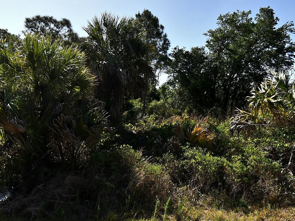 Lot 2 Bannock Circle North Port FL 34288 N6144337 image3