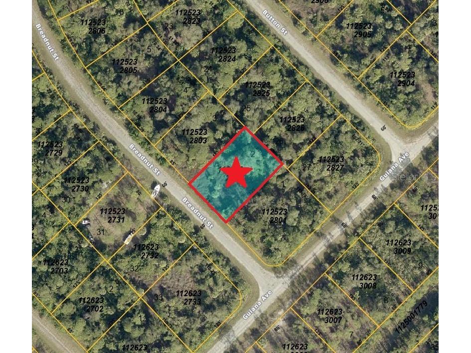 Lot 2 Breadnut Street North Port FL 34288 C7511203 image1