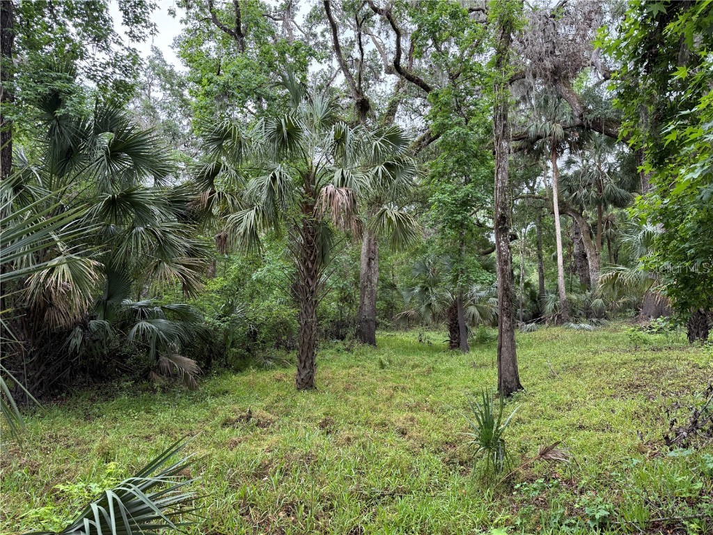 Lot #2 Coconut Cove Place Valrico FL 33596 - ALAFIA RIVER TB8379296 image1