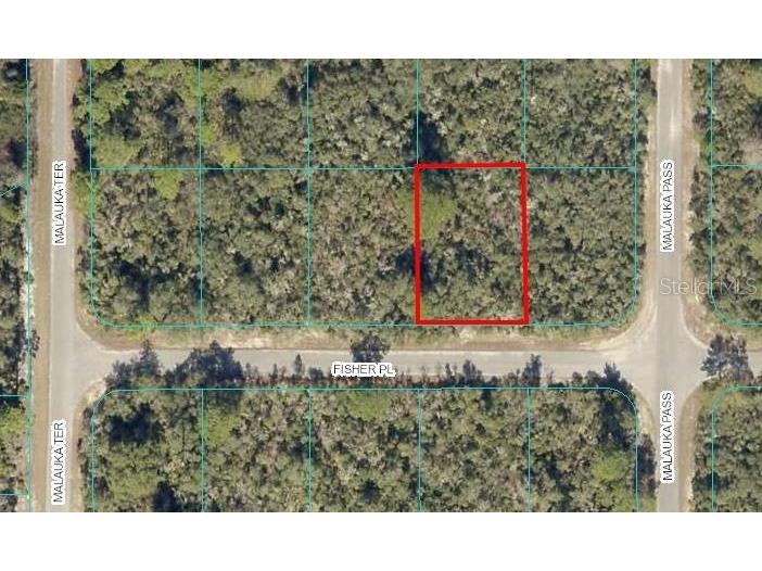 Lot 2 Fisher Place Ocklawaha FL 32179 OM650556 image1