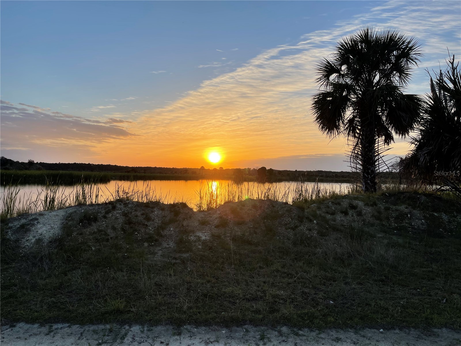 Lot 2 Flexer Drive Hernando Beach FL 34607 - GULF FRONTAGE W7881656 image13