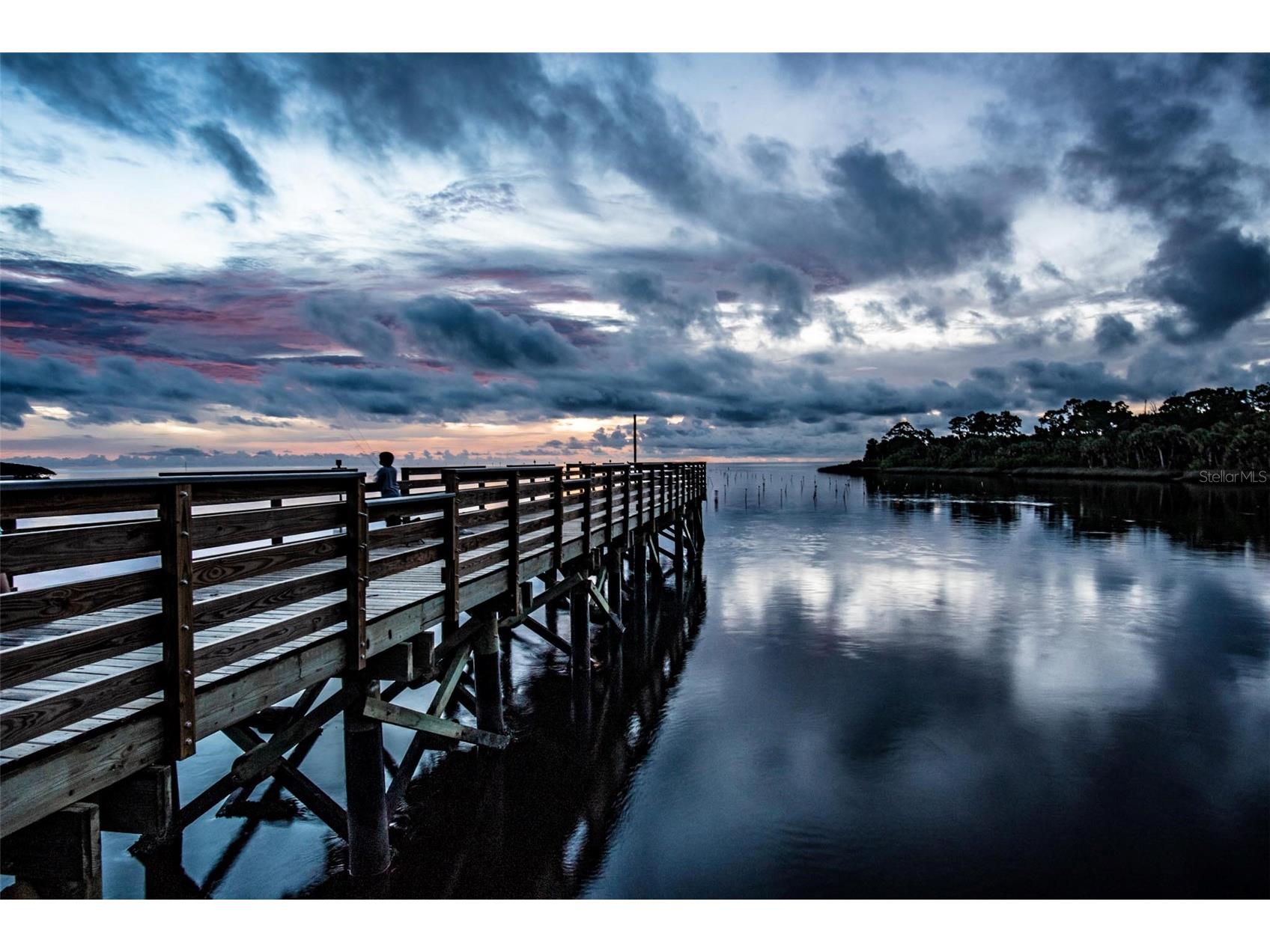 Lot 2 Flexer Drive Hernando Beach FL 34607 - GULF FRONTAGE W7881656 image25