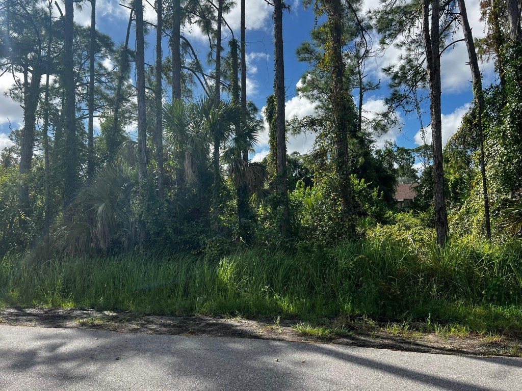 Lot 2 Geranium Avenue North Port FL 34288 C7481649 image1