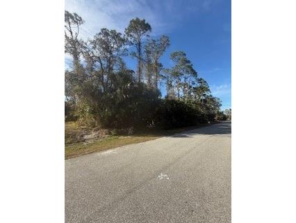 Lot 2 Granicus Street North Port FL 34286 A4635460 image1
