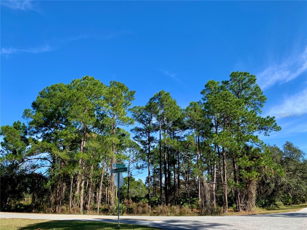 Lot 2 Greenbrier Street Eustis FL 32736 - LAKE NORRIS AND LAKE MARION G5076638 image1