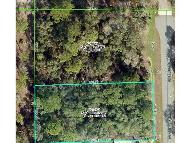 Lot 2 Kingfisher Road Weeki Wachee FL 34614 W7881453 image1