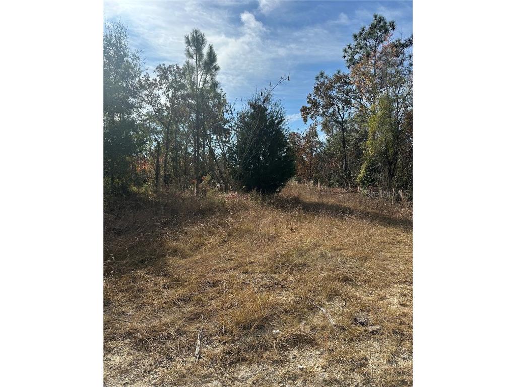 Lot 2 NE 151st Ter Williston FL 32696 TB8450513 image1
