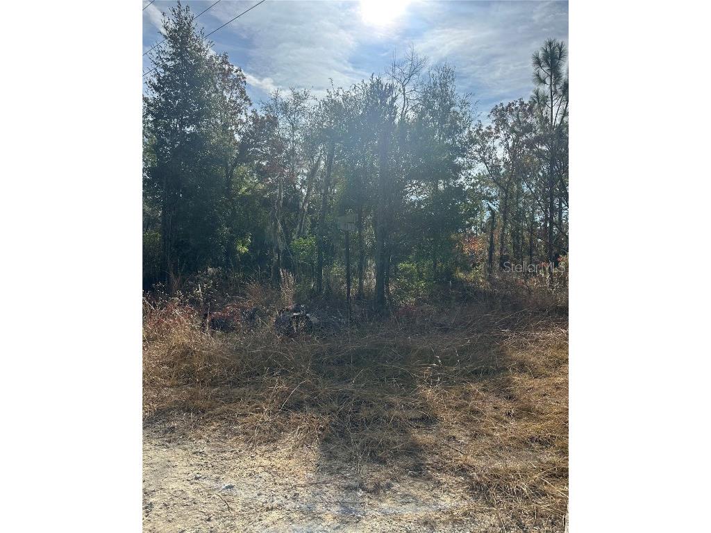 Lot 2 NE 151st Ter Williston FL 32696 TB8450513 image2