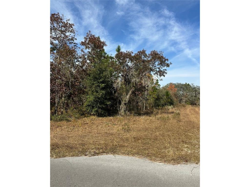Lot 2 NE 151st Ter Williston FL 32696 TB8450513 image3