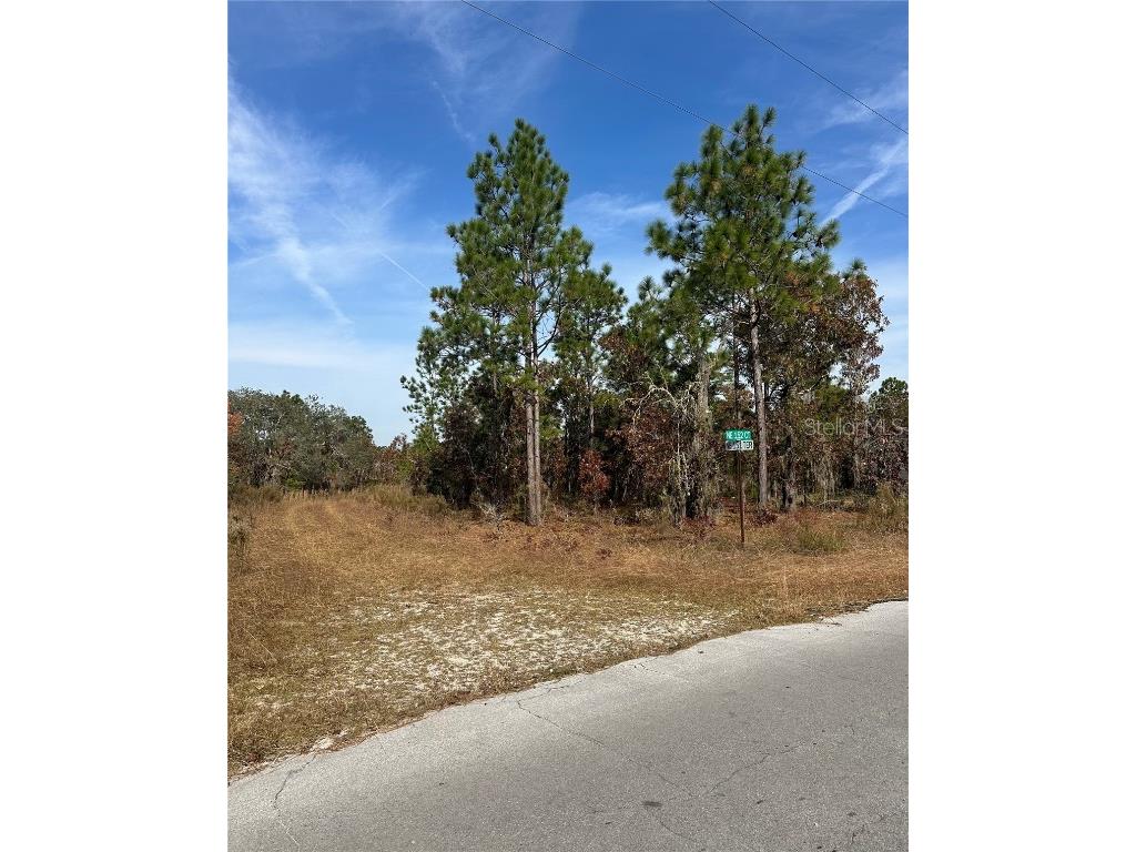 Lot 2 NE 151st Ter Williston FL 32696 TB8450513 image4