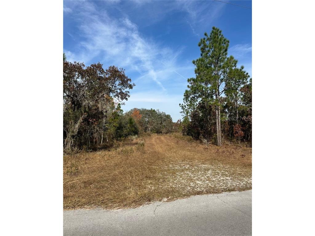 Lot 2 NE 151st Ter Williston FL 32696 TB8450513 image5