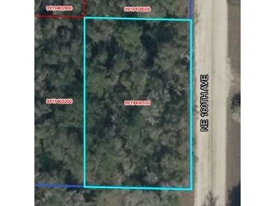 Lot 2 Ne 160th Ave Williston FL 32696 S5145658 image1