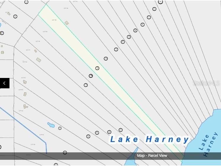 Lot 2 Near Osceola Road Geneva FL 32732 A4661302 image2