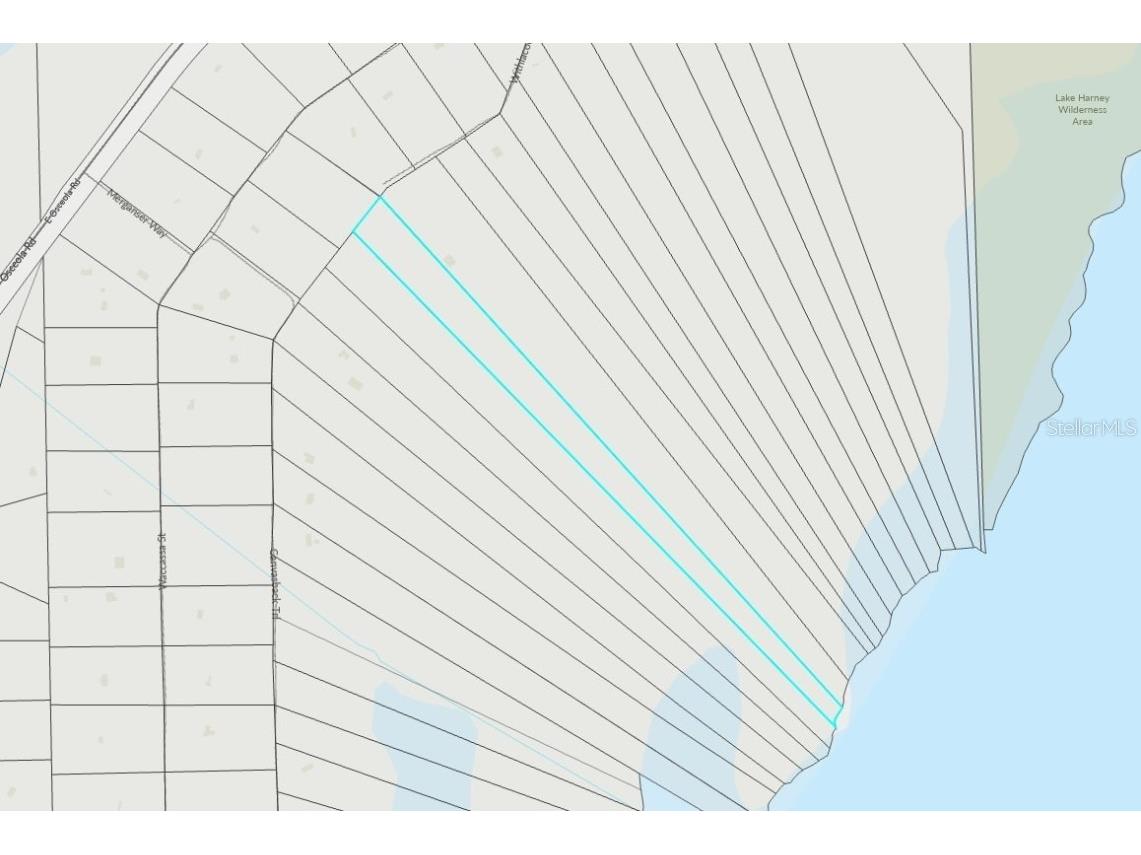 Lot 2 Near Osceola Road Geneva FL 32732 A4661302 image3