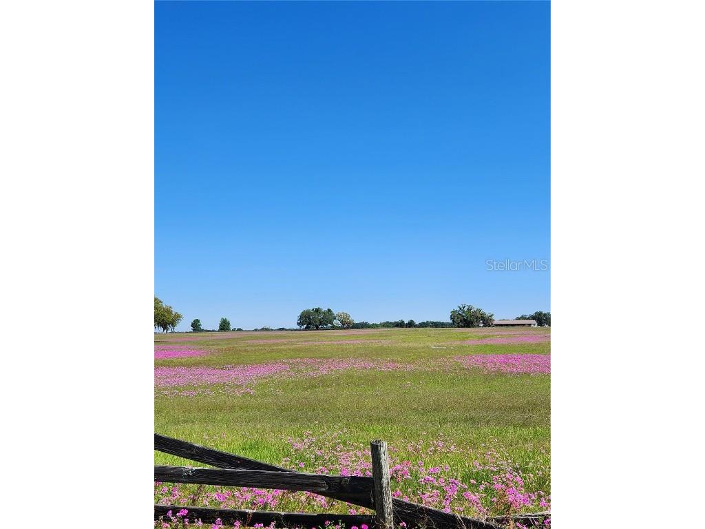 Lot 2 NW 102nd Boulevard Wildwood FL 34785 G5080604 image1