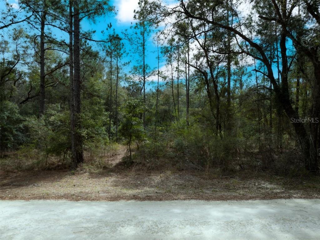 Lot 2 Rosehill Drive Webster FL 33597 O6177760 image1