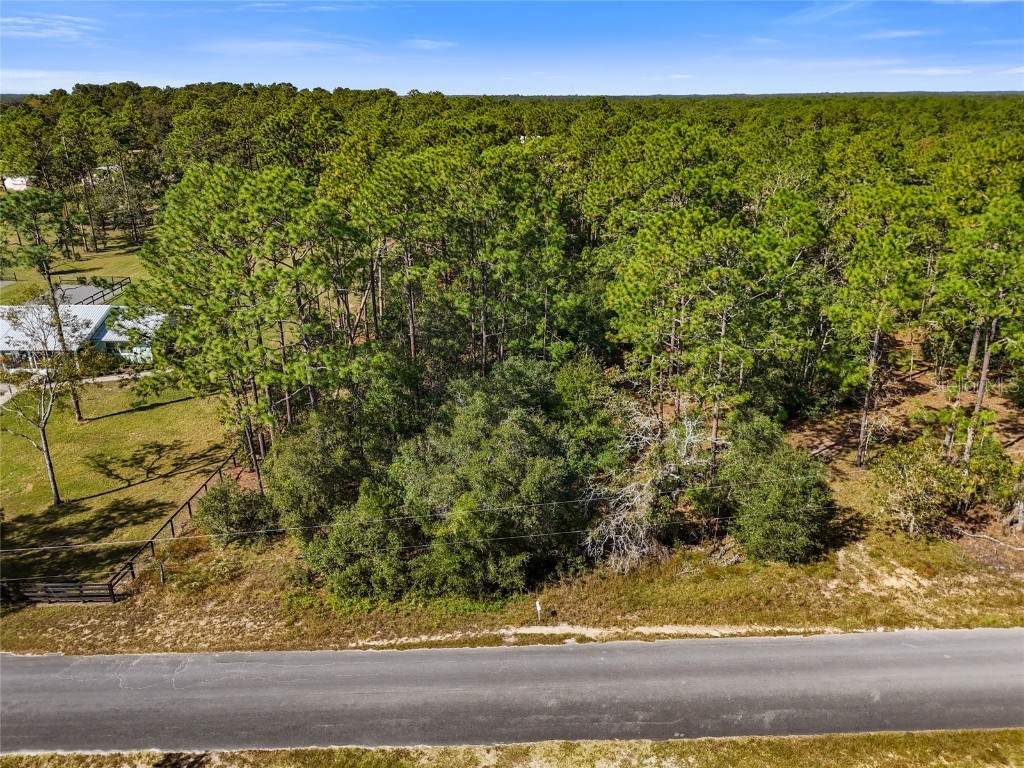 Lot 2 SE 150th Avenue Morriston FL 32668 GC526117 image1
