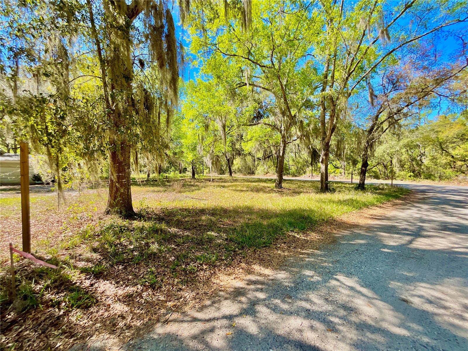 Lot 2 Se 16th Street Melrose FL 32666 GC538635 image3