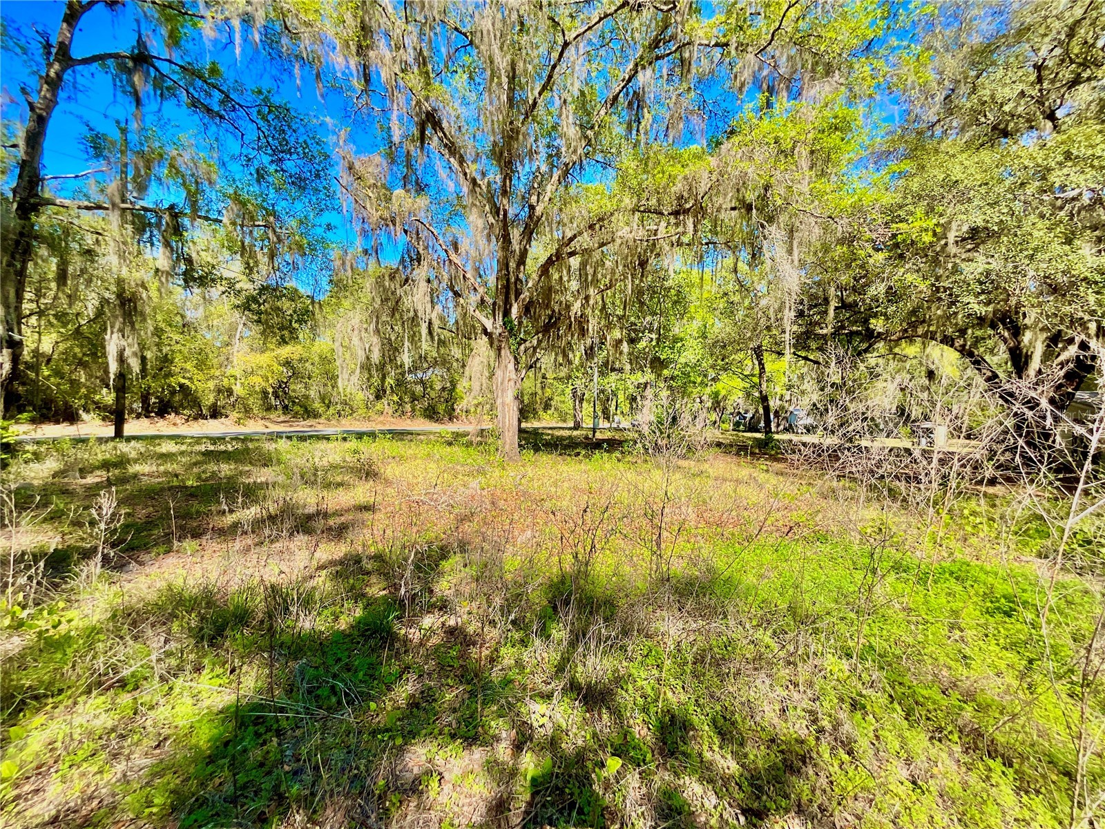 Lot 2 Se 16th Street Melrose FL 32666 GC538635 image4