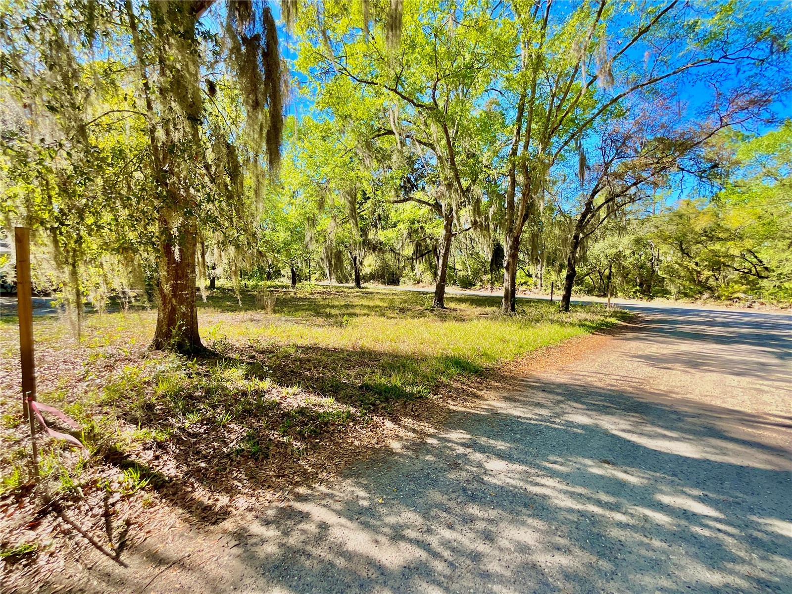 Lot 2 Se 16th Street Melrose FL 32666 GC538635 image6