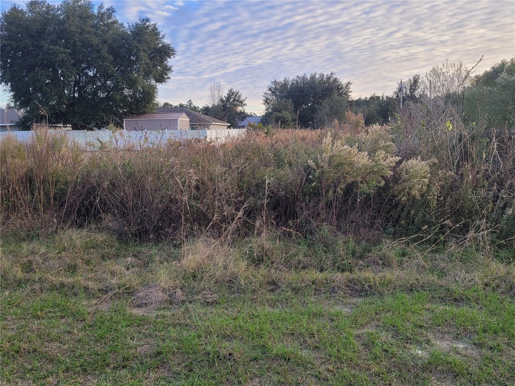 Lot 2 SW 128 Place Ocala FL 34473 OM670008 image1
