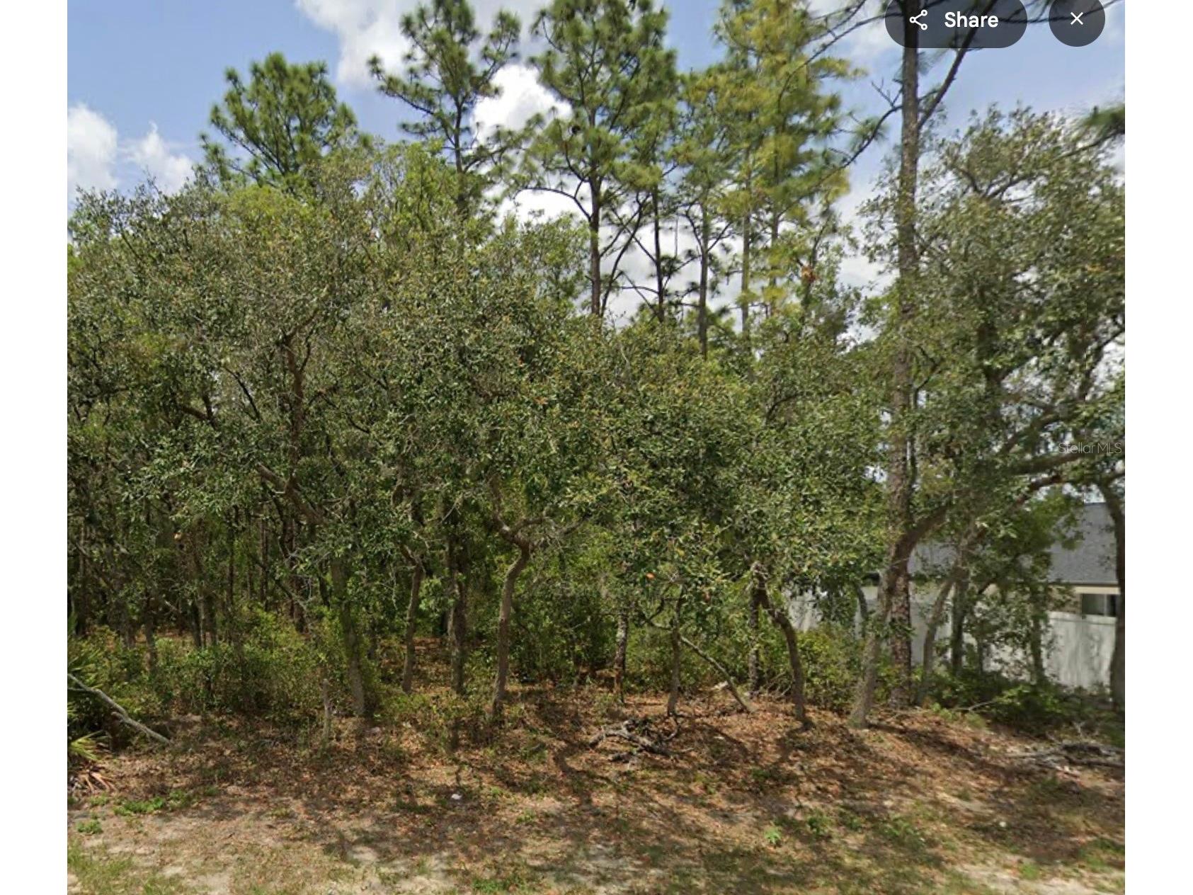 Lot 2 SW 144th Lane Ocala FL 34473 OM711734 image1